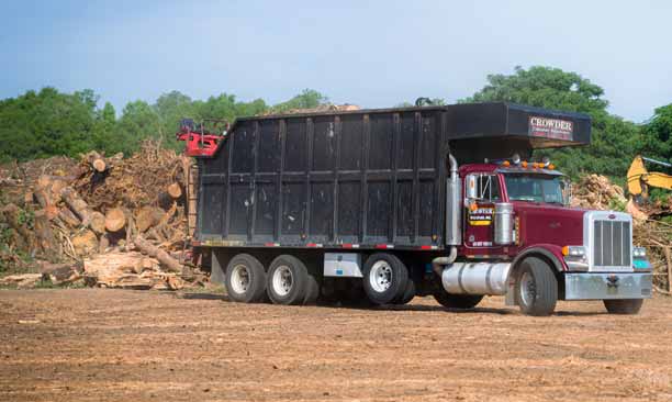 Tallahassee Tree Trash Removal