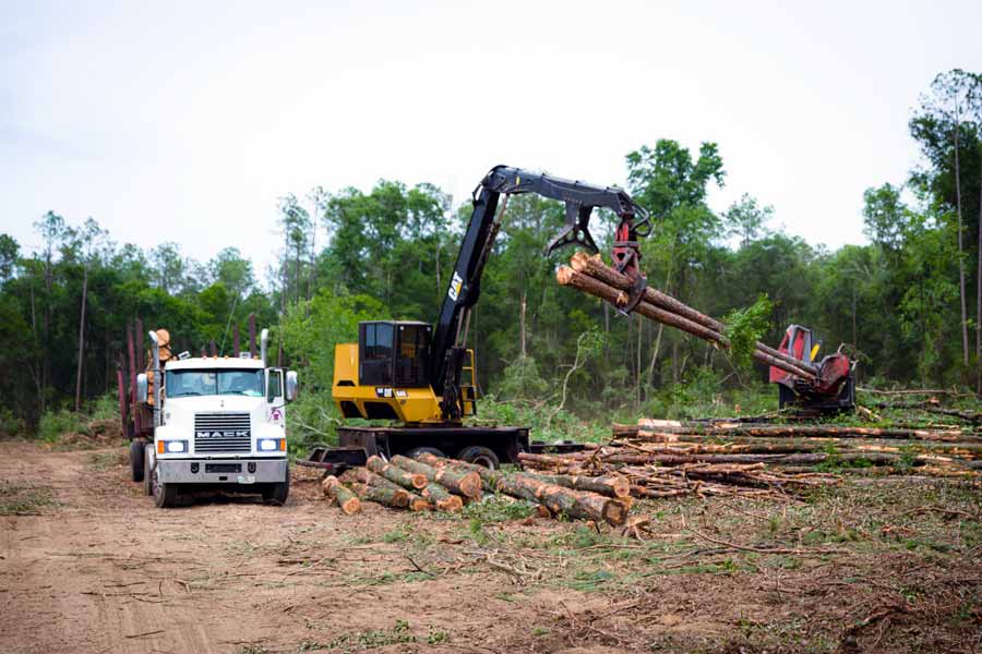 Land Clearing - Septic Excavation - Live Oak, FL